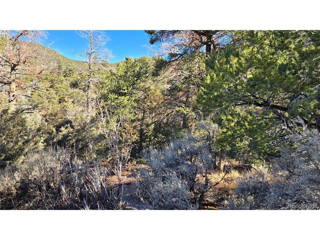 5106 Redler Rd, Fort Garland, CO 81133