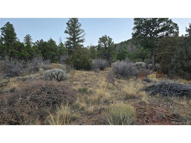 5106 Redler Rd, Fort Garland, CO 81133