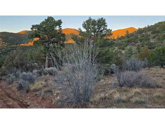 5106 Redler Rd, Fort Garland, CO 81133