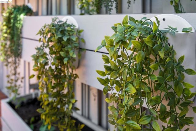 3011 Mayhew Ct 1, Walnut Creek, CA 94597