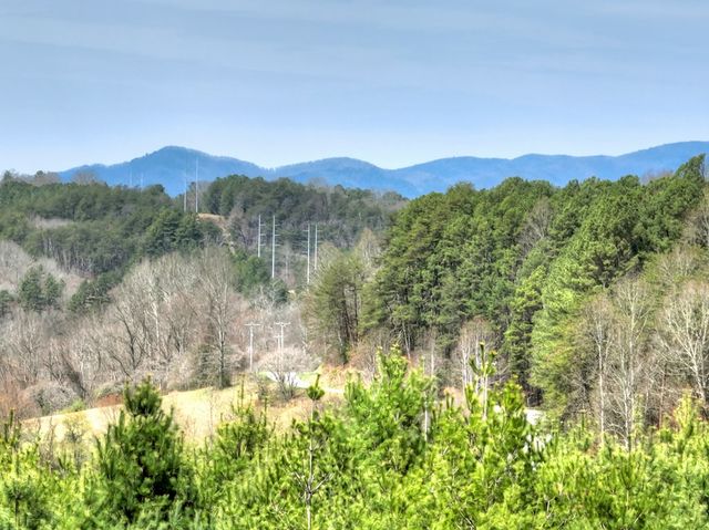 82 Indian Trace, Mineral Bluff, GA 30559
