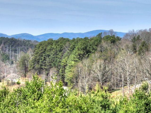 82 Indian Trace, Mineral Bluff, GA 30559