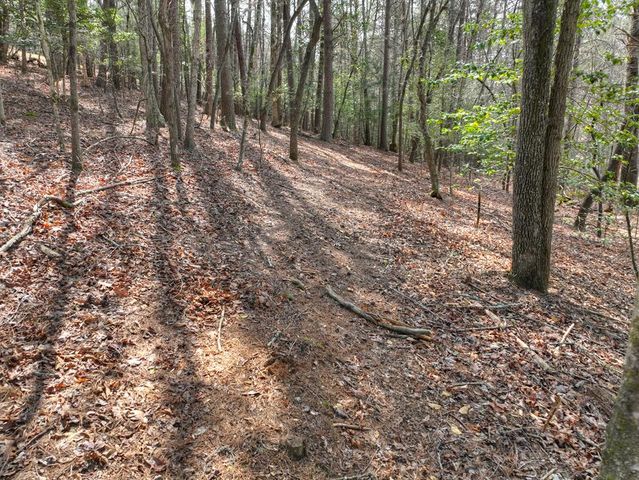 82 Indian Trace, Mineral Bluff, GA 30559