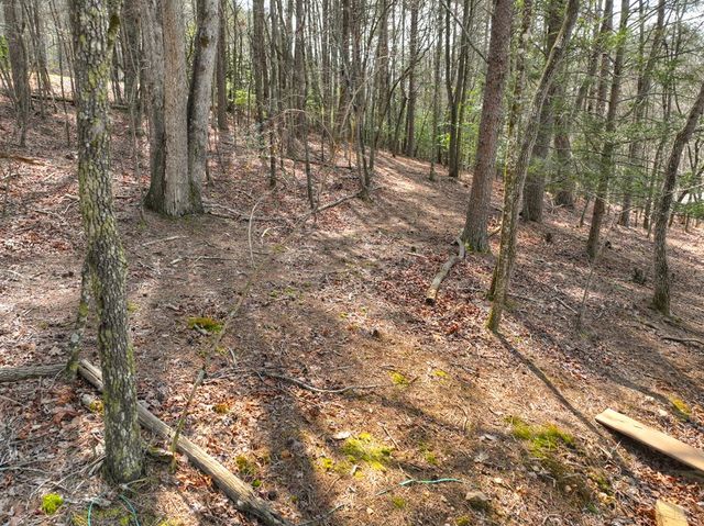 82 Indian Trace, Mineral Bluff, GA 30559