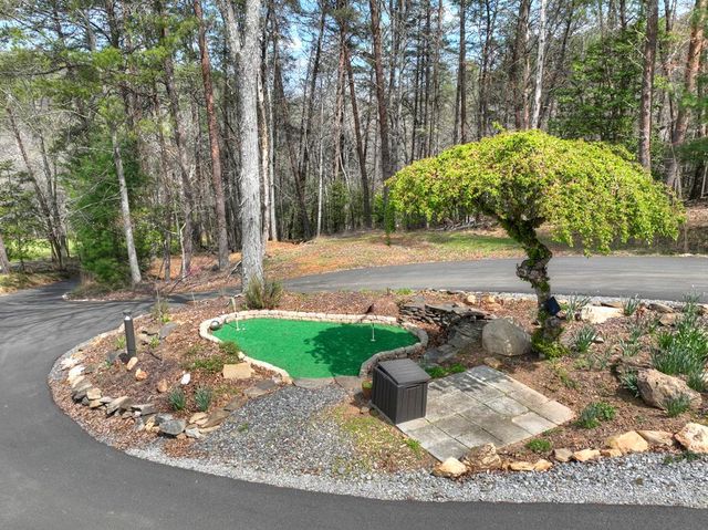 82 Indian Trace, Mineral Bluff, GA 30559