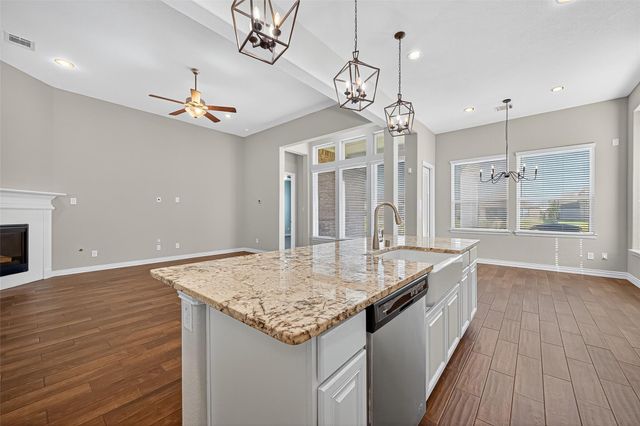 24118 Cannon Anello Court, Katy, TX 77493