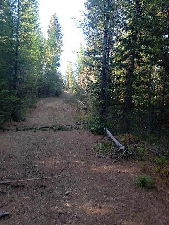 Tract 2 Nine Mile Road, Huson, MT 59846 photo 3