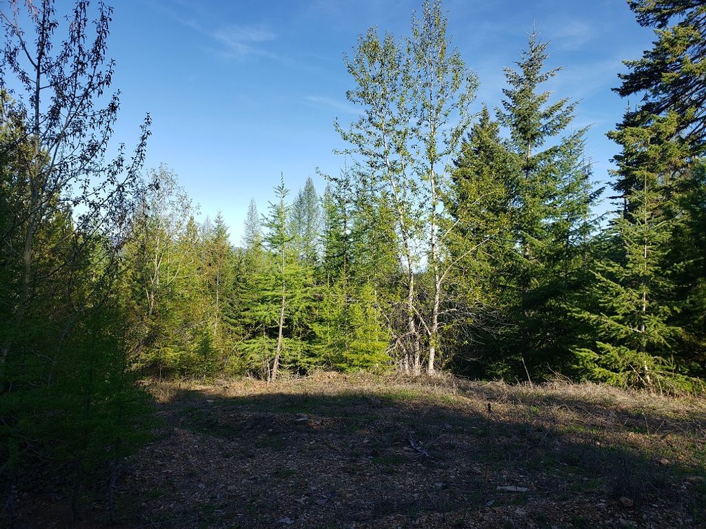 Tract 2 Nine Mile Road, Huson, MT 59846 photo 5