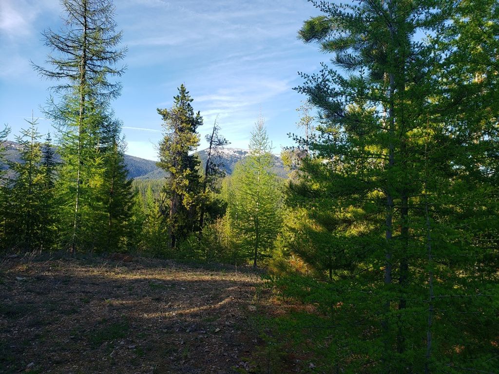 Tract 2 Nine Mile Road, Huson, MT 59846 photo 6