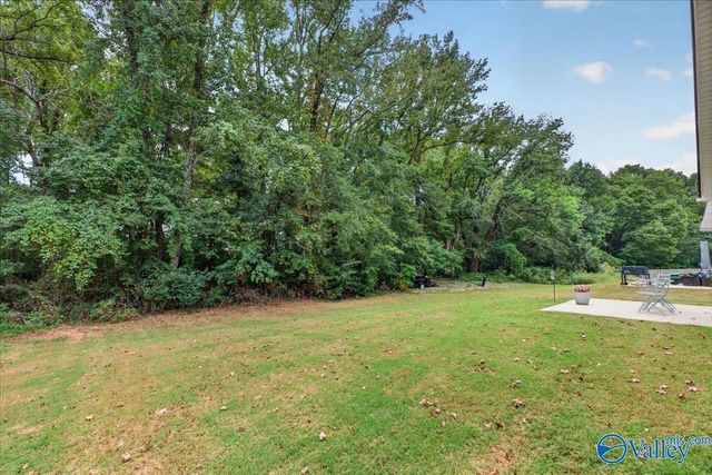 148 Lincoln Gray Circle, New Market, AL 35761