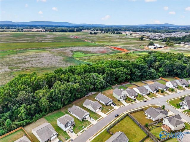 148 Lincoln Gray Circle, New Market, AL 35761