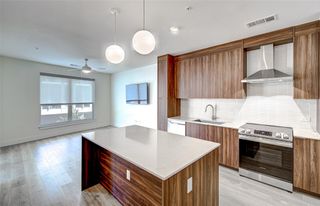 1701 Simond Ave 229, Austin, TX 78723