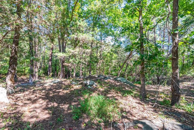 1101 Foxfire ln, Bedford, VA 24523