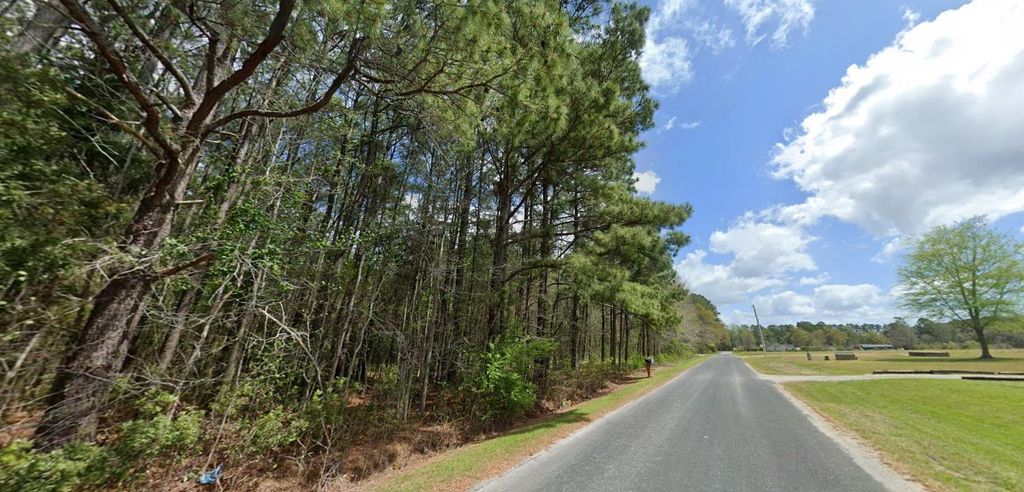 TBD Highway 762, Loris, SC 29569 — photo 2