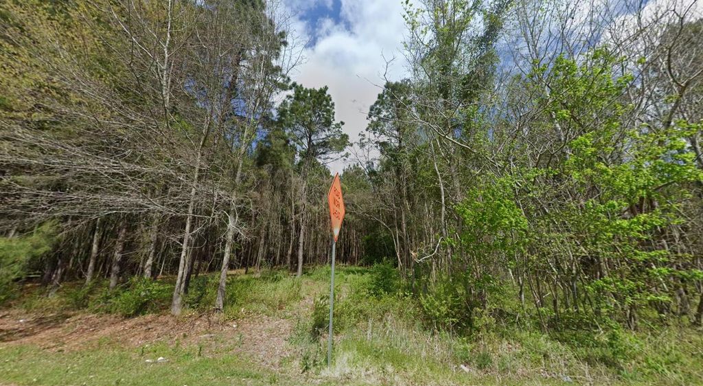 TBD Highway 762, Loris, SC 29569 — photo 3