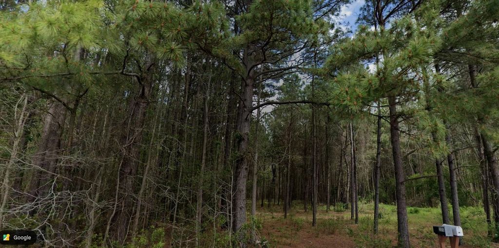 TBD Highway 762, Loris, SC 29569 — photo 4