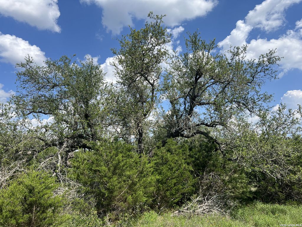 636 ROCK TRAIL PL, Spring Branch, TX 78070