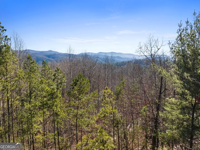 572 Left Turn, Blue Ridge, GA 30513