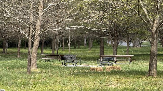 203 Aberdare Lane, Greenville, SC 29615