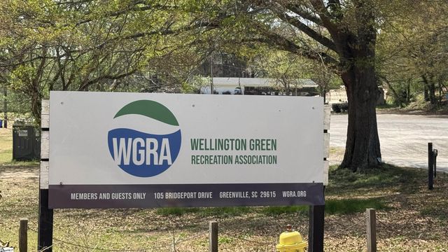 203 Aberdare Lane, Greenville, SC 29615