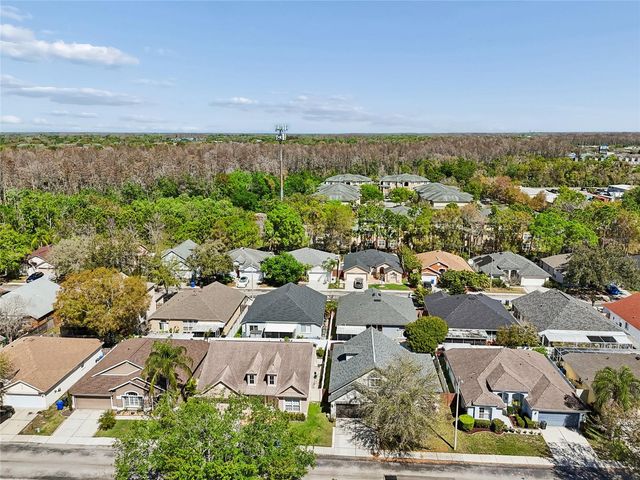8816 CYPRESS HAMMOCK DRIVE, Tampa, FL 33614