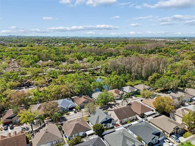 8816 CYPRESS HAMMOCK DRIVE, Tampa, FL 33614