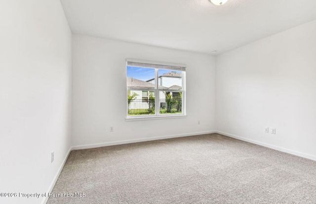 3793 Hornbeam Road, Spring Hill, FL 34609