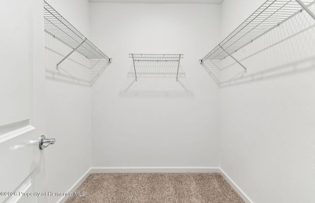 3793 Hornbeam Road, Spring Hill, FL 34609