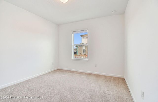 3793 Hornbeam Road, Spring Hill, FL 34609