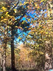 1399 ROCK CREEK ROAD, Bessemer, AL 35023
