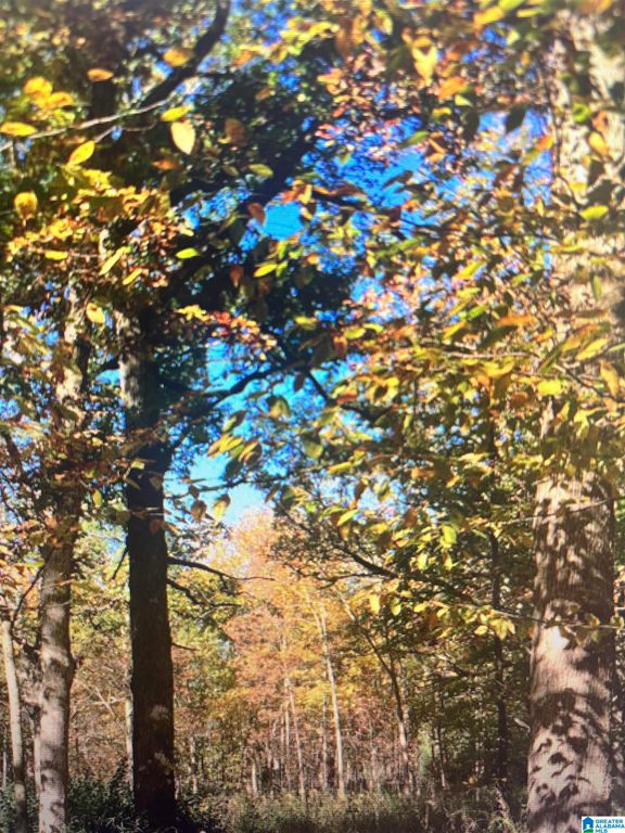 1399 ROCK CREEK ROAD, Bessemer, AL 35023