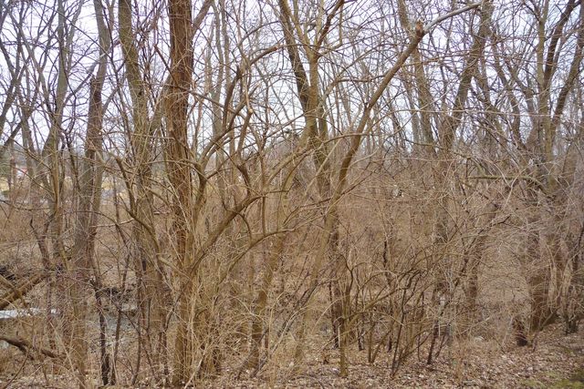 5303 Sandpiper Place 0, Loves Park, IL 61111