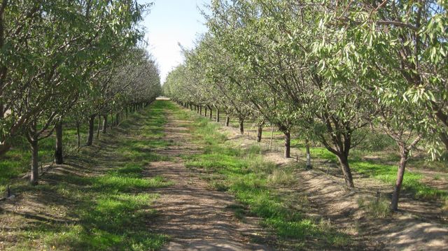 6778 E Nebraska Avenue, Selma, CA 93662