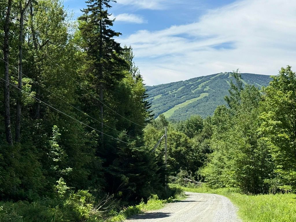 0 Forest Heights, Dover, VT 05356