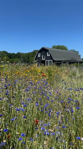 9962 Holden Road, Baroda, MI 49101
