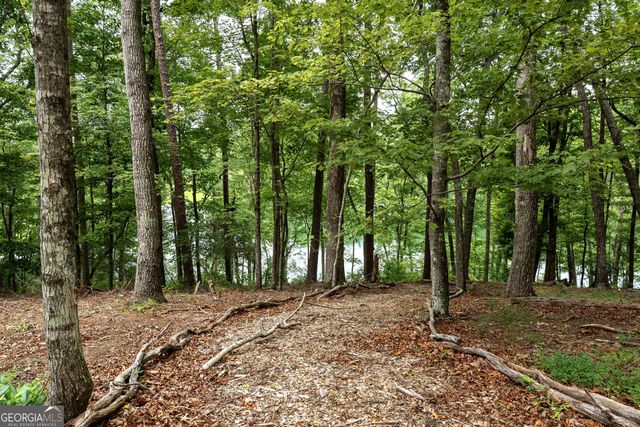 501 High Meadow Lakes Road, Clarkesville, GA 30523