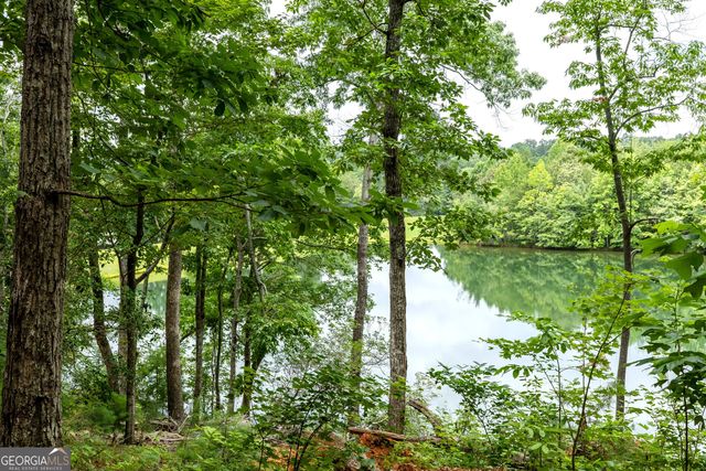 501 High Meadow Lakes Road, Clarkesville, GA 30523