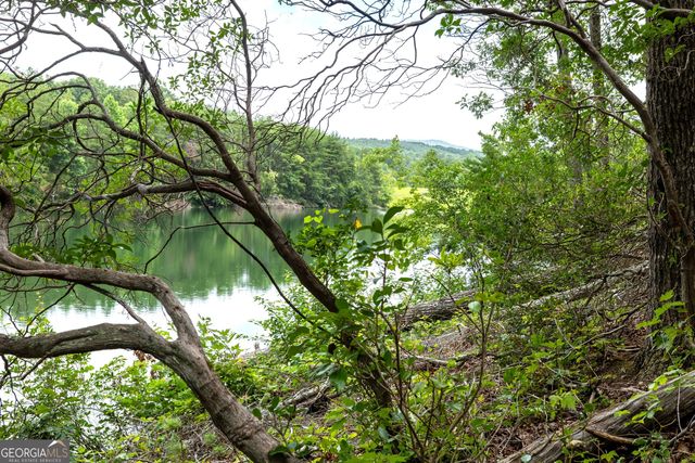 501 High Meadow Lakes Road, Clarkesville, GA 30523