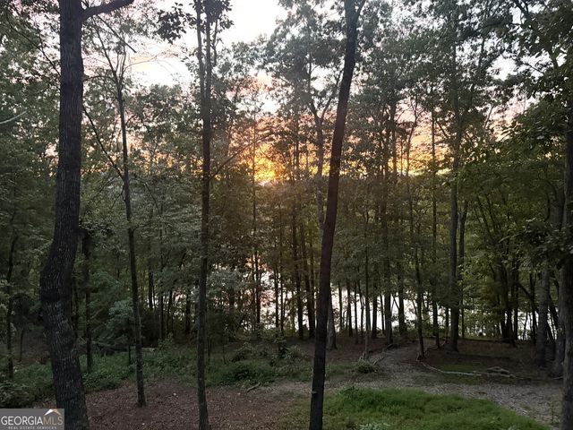 501 High Meadow Lakes Road, Clarkesville, GA 30523