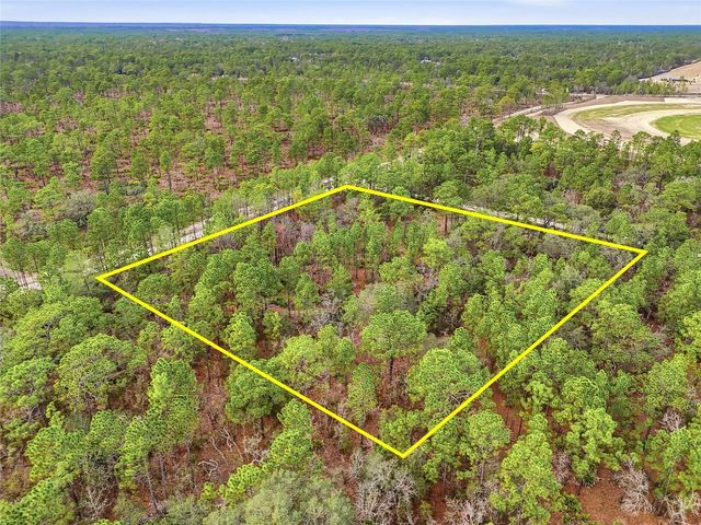 11388 THAMES AVENUE, Brooksville, FL 34614