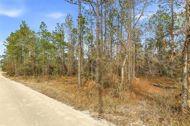 11388 THAMES AVENUE, Brooksville, FL 34614