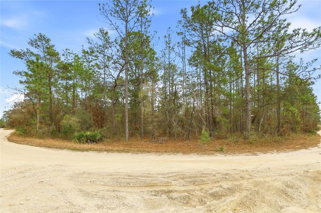 11388 THAMES AVENUE, Brooksville, FL 34614