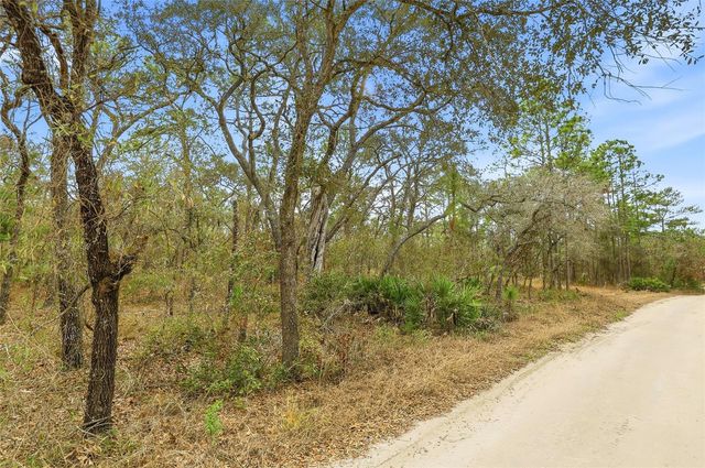 11388 THAMES AVENUE, Brooksville, FL 34614