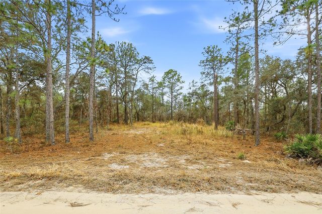 11388 THAMES AVENUE, Brooksville, FL 34614