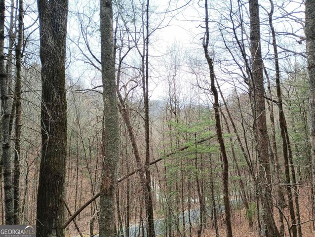 0 LOT 289 Cobblewood Trail, Sky Valley, GA 30537