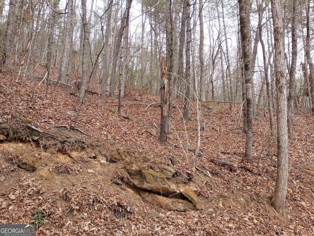 0 LOT 289 Cobblewood Trail, Sky Valley, GA 30537
