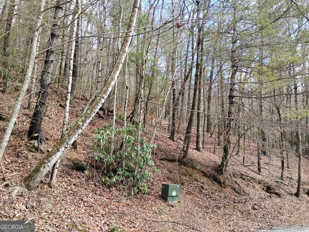 0 LOT 289 Cobblewood Trail, Sky Valley, GA 30537