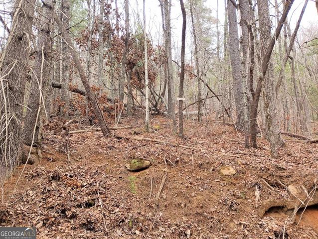 0 LOT 289 Cobblewood Trail, Sky Valley, GA 30537