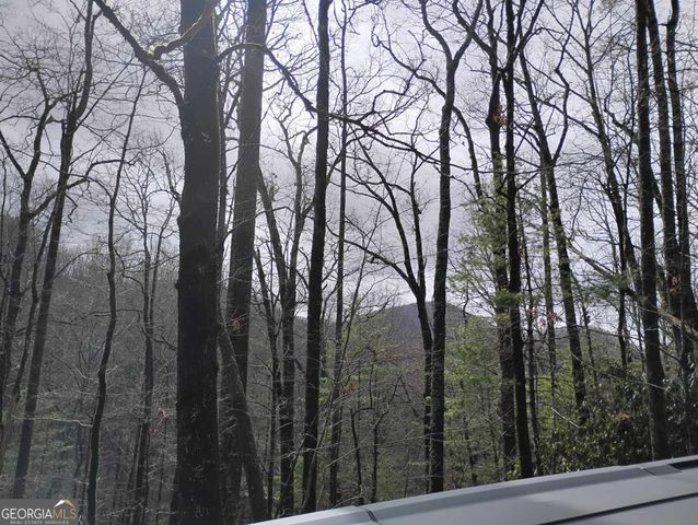 0 LOT 289 Cobblewood Trail, Sky Valley, GA 30537
