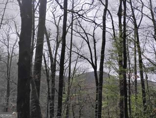 0 LOT 289 Cobblewood Trail, Sky Valley, GA 30537